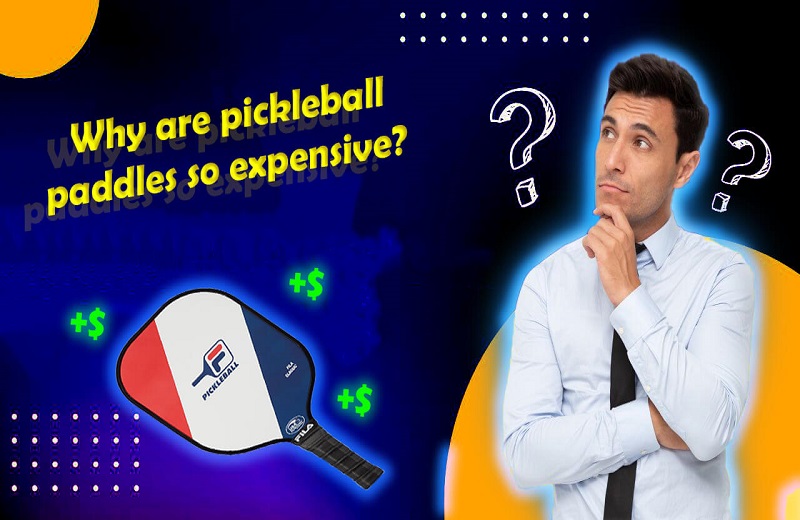 Why Are Pickleball Paddles So Expensive? (4 Practical Reasons)