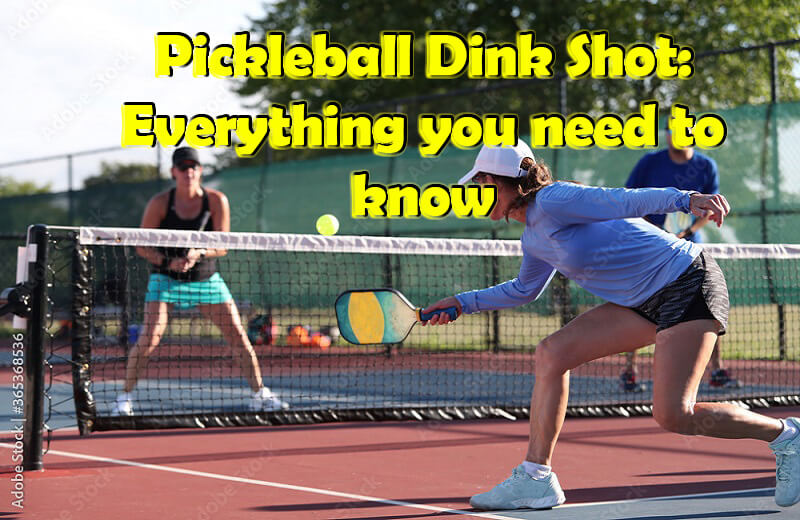 What is a Dink in Pickleball: Tips To Master Your Dink Technique