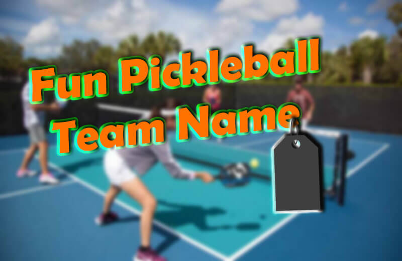 300+ Funny Pickleball Names For Teams To Choose