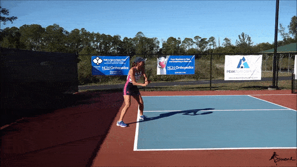 top spin pickleball