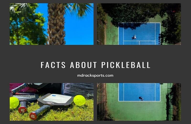 Pickleball Facts You Might Not Know (trivia, fun facts, history)