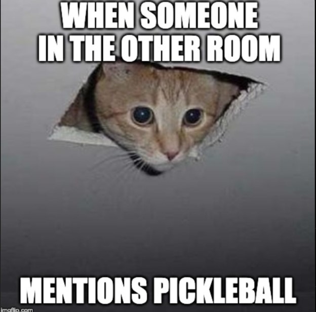pickleball meme 5